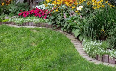 Perennials Enhances Flower Beds and Gardens Best