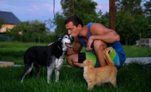 Matt Davies Harmony Communities Examines the Daily Caloric Intake of Dogs