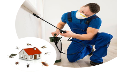 Primary Advantages of Pest Control Services by a Reliable Agency