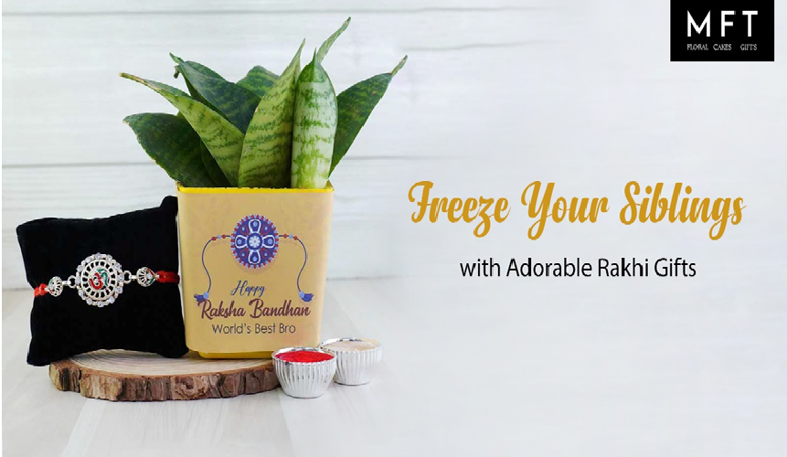 Freeze Your Siblings With Adorable Rakhi Gifts