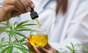 Cannabis Oil and Cancer Support