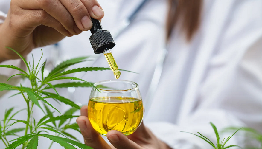 Cannabis Oil and Cancer Support