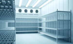 Choosing the Right Modular Cold Room for Your Food Business