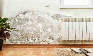Here is Why You Need to Check Your Walls for Moisture before Monsoons