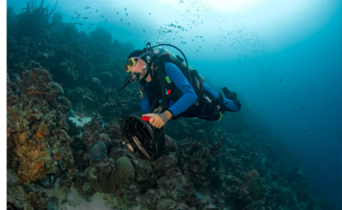 Scuba Diving as Therapy: Dive into Wellness!