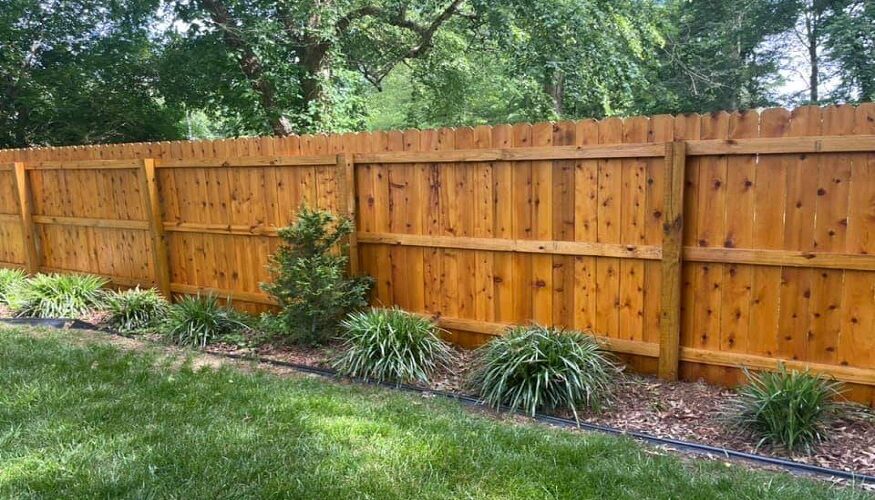 Choosing the Right Stain Color for Your Fence: A Practical Guide