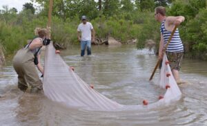 The Art of Pond Management: Creating a Harmony Between Water and Wildlife