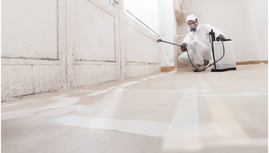 Inspecting for Mold in Brooklyn After Severe Weather