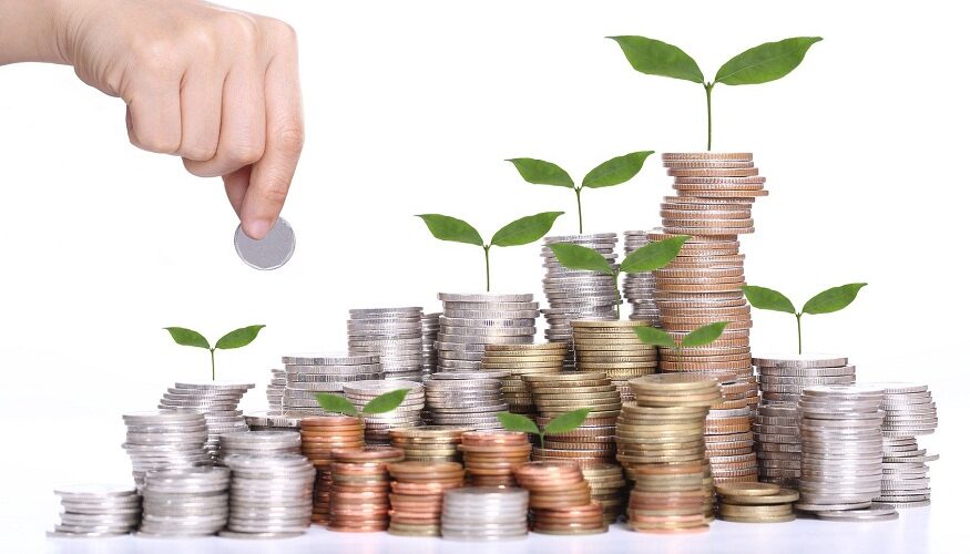 How Advisors Help You Achieve Wealth Preservation Through Diversification