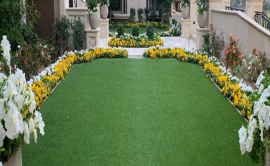 Unlocking Your Dream Lawn: Artificial Turf Financing Options Explained