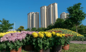 Your Dream Home at Lentor Gardens Residences and Terra Hill