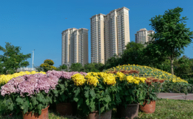 Your Dream Home at Lentor Gardens Residences and Terra Hill