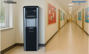Drinking Water Cooler Guide: Applications, Features, and Capacity Options