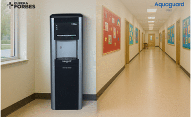 Drinking Water Cooler Guide: Applications, Features, and Capacity Options
