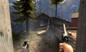 Rise of Streaming Culture in Multiplayer Action Games